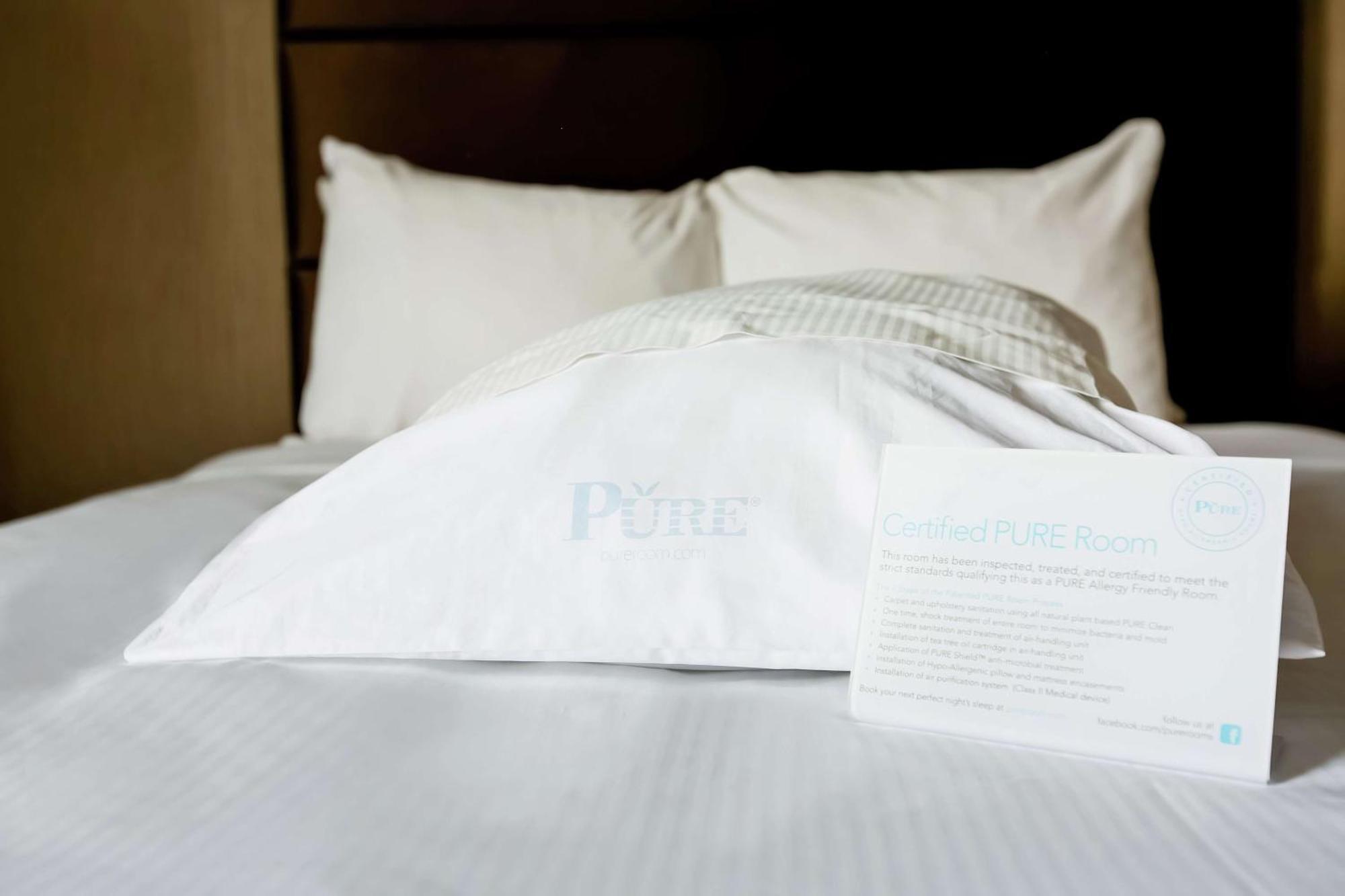 Chambre Lit King-Size - Adaptée aux Personnes Souffrant d'Allergies