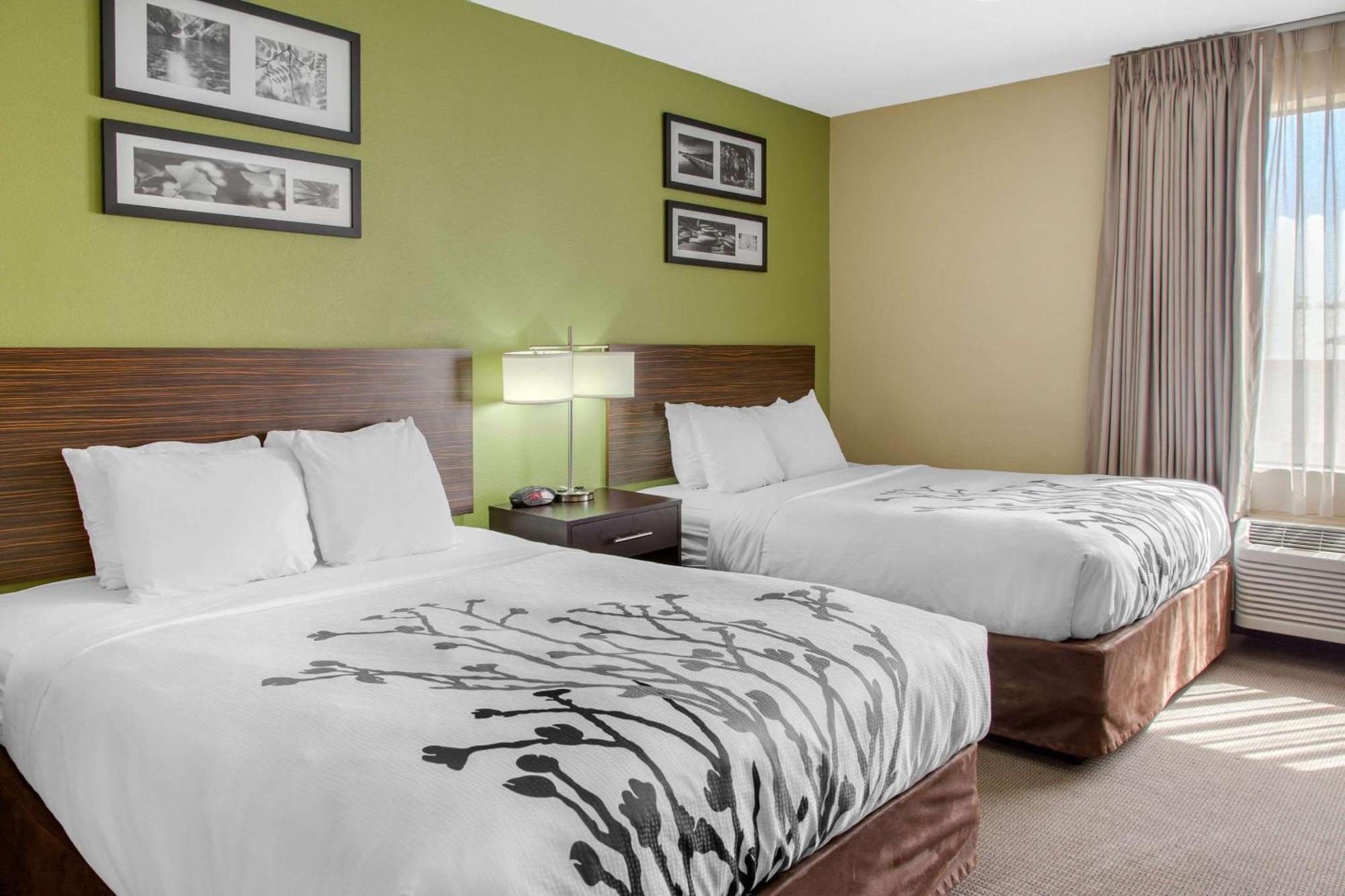 Queen Suite with Two Queen Beds - Non-Smoking
