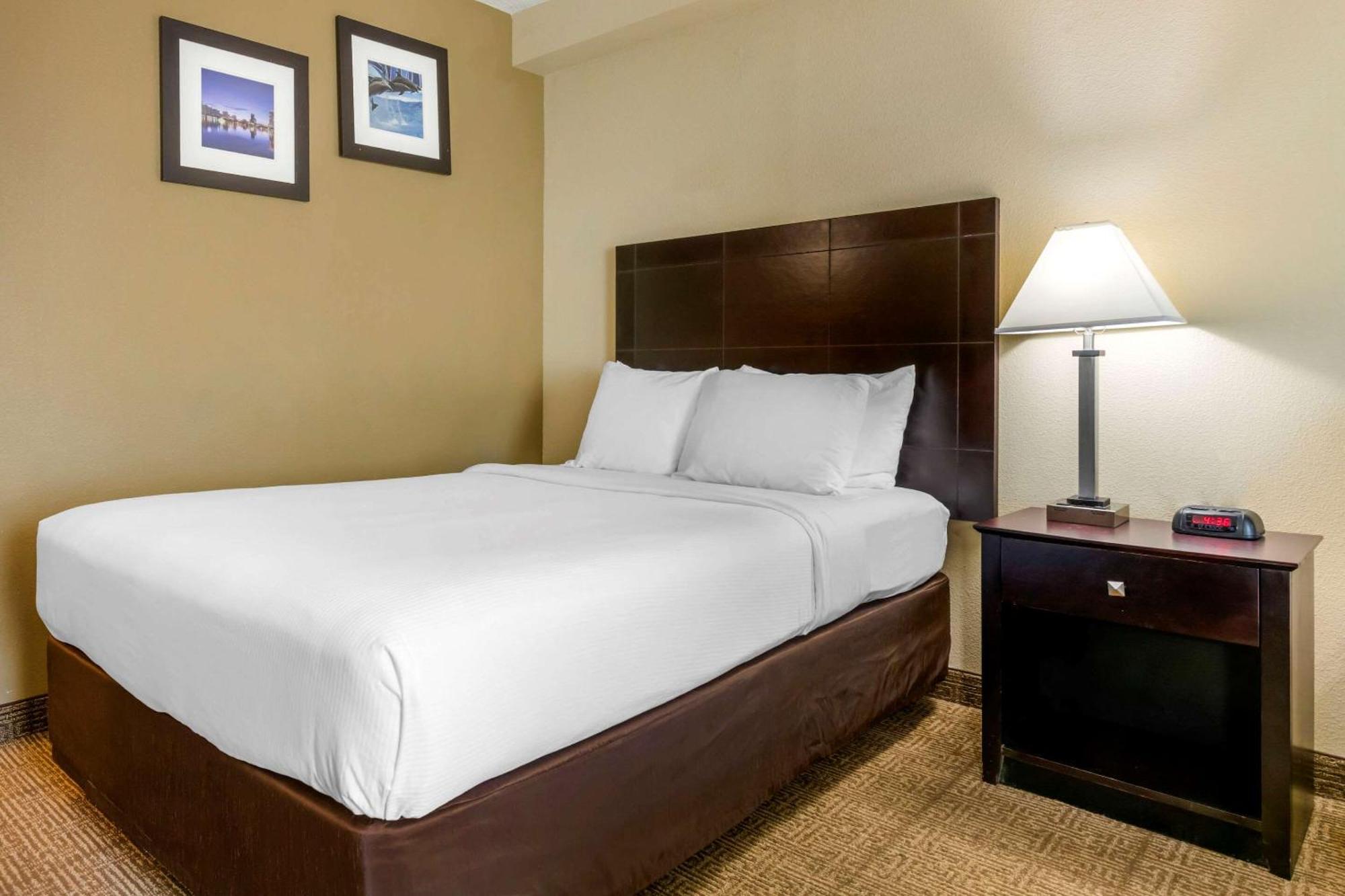 Queen Room Two Queen Beds