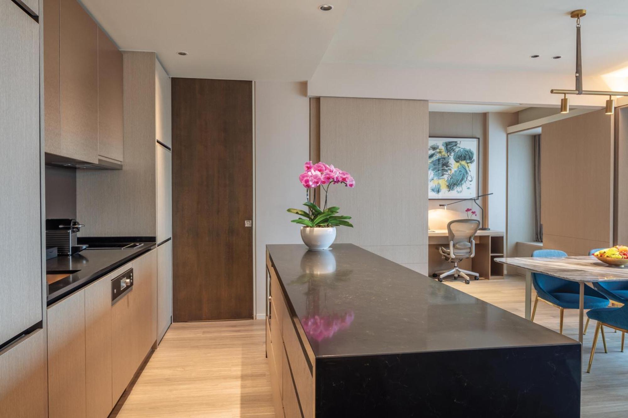 One-Bedroom Apartment Penthouse Duplex