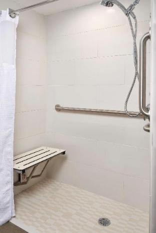 Habitación adaptada para personas con discapacidad, con vistas y ducha accesible en silla de ruedas - 1 cama extragrande - No fumadores