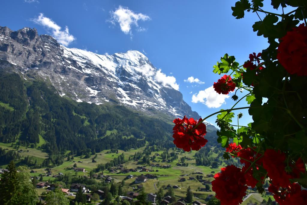 Superior Double Room Enzian with Eiger view and garden access,994233073:JPEG