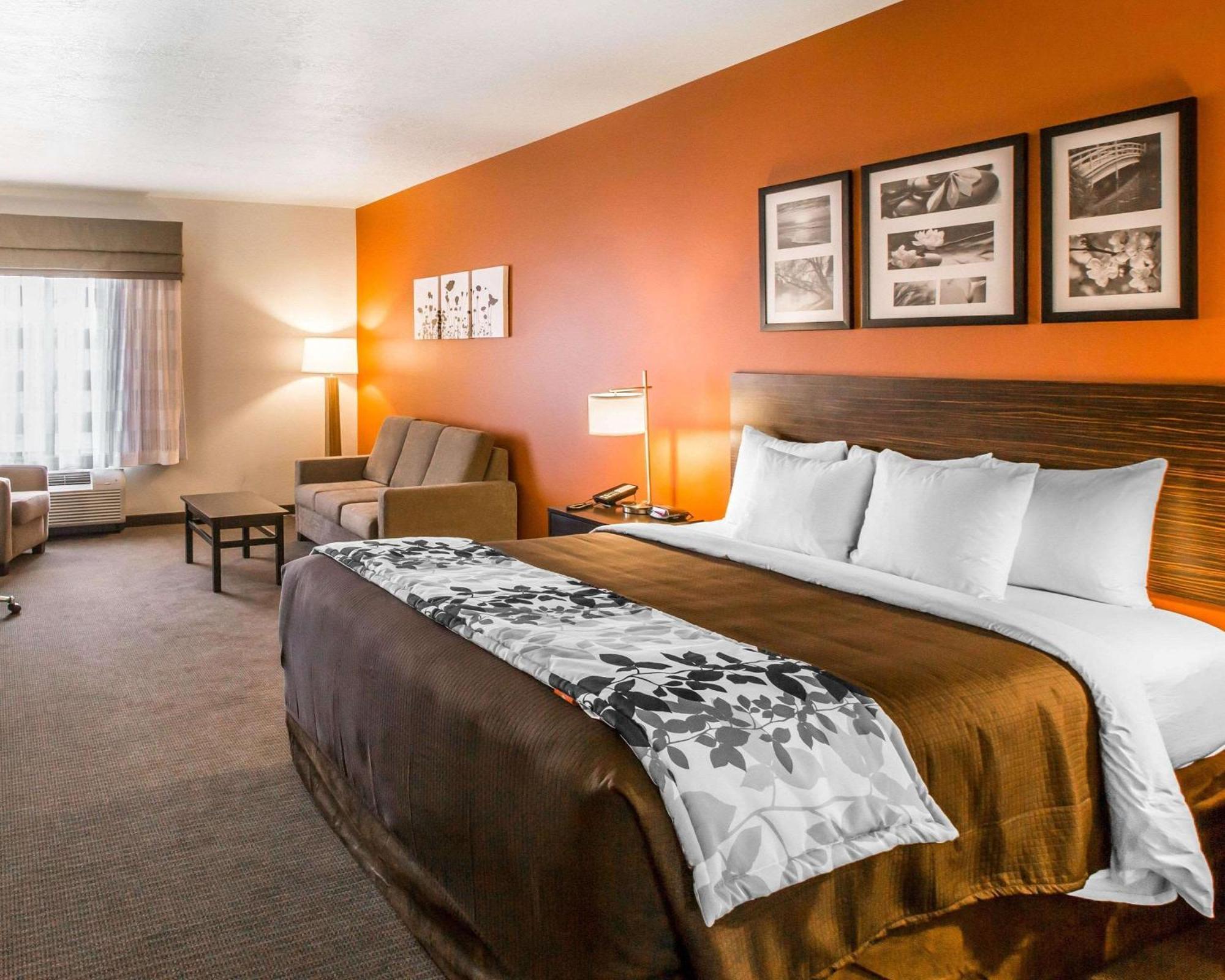 Junior Suite mit Kingsize-Bett - Nichtraucher