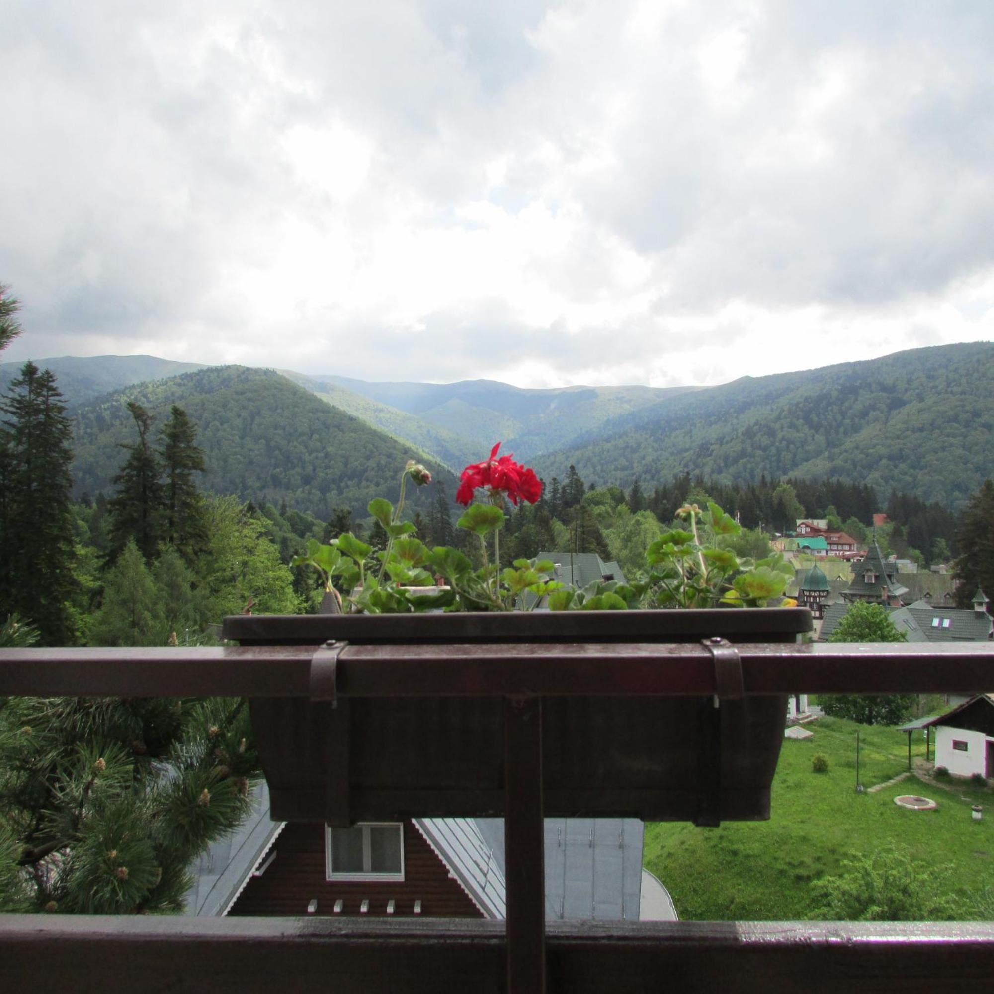 Double Room Mountain View