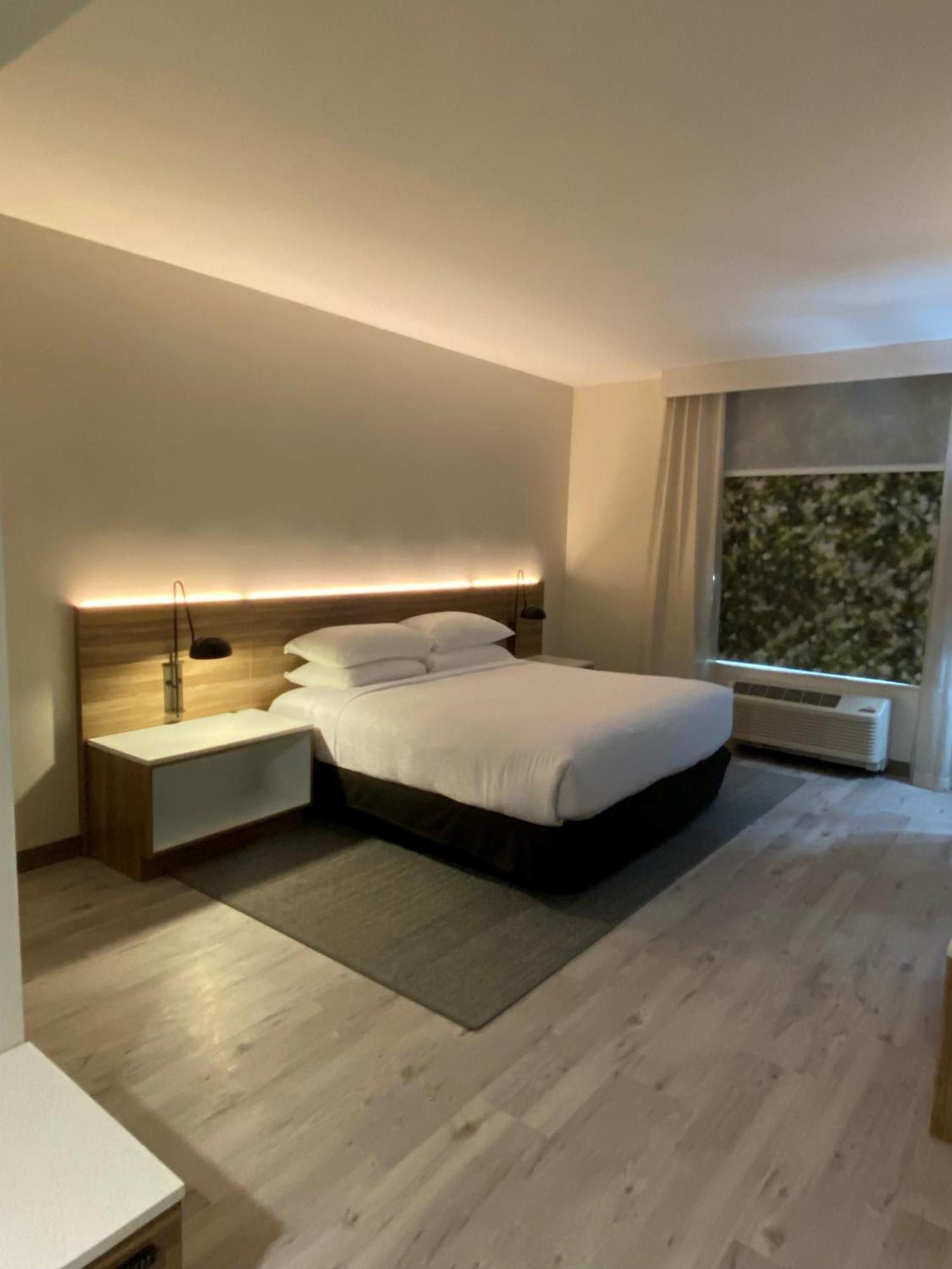 King Room - Non-Smoking,1196981530:JPEG