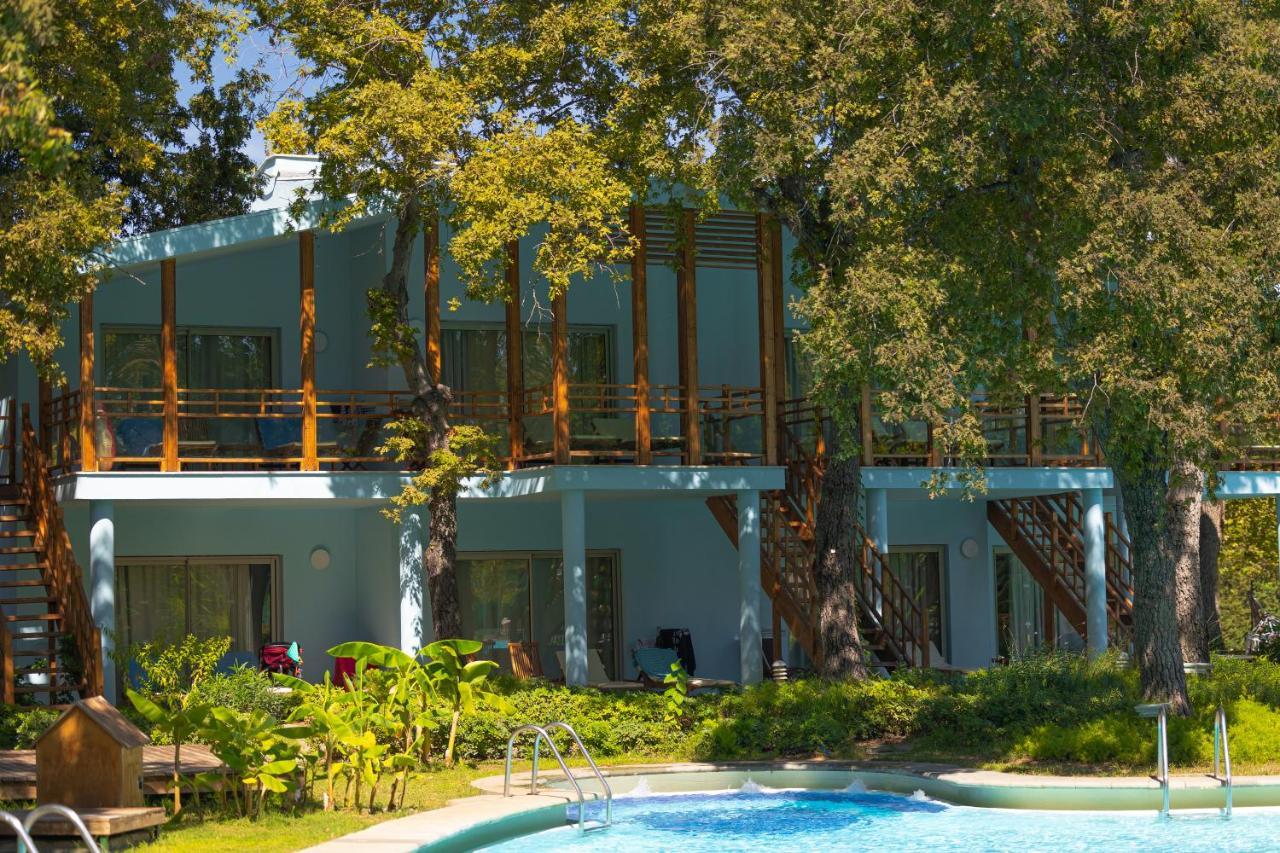 Standard Twin Room Swimming Pool Access