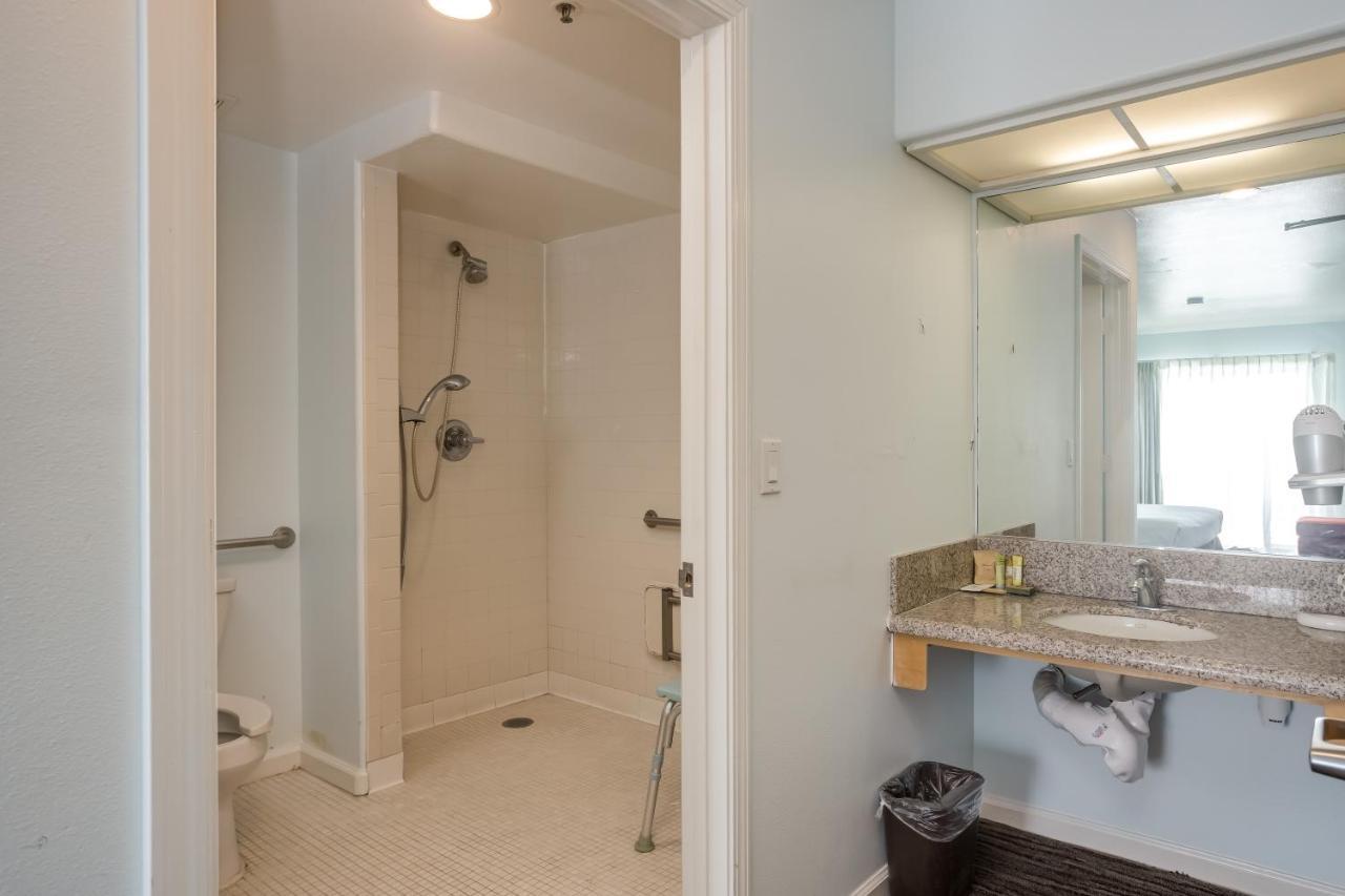 King Room Roll Shower Disability Access