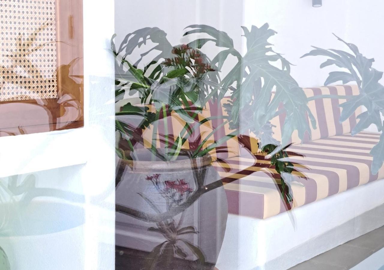Apartment Terrace
