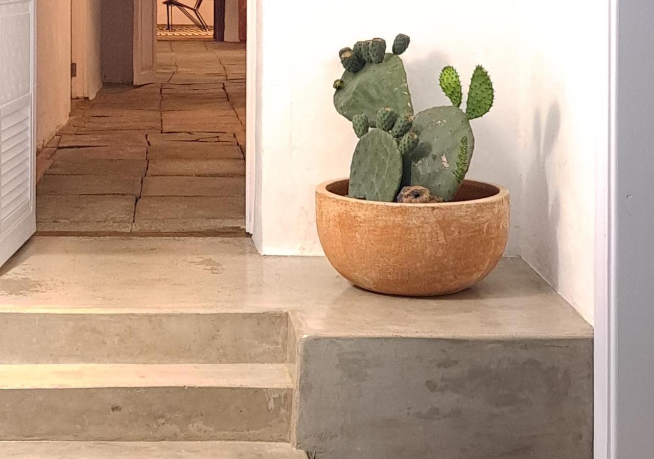 Apartment Terrace