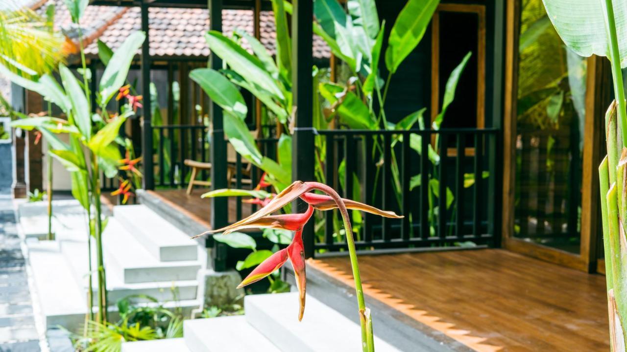 Deluxe Bungalow