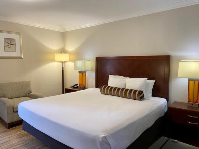 Habitación con cama extragrande.