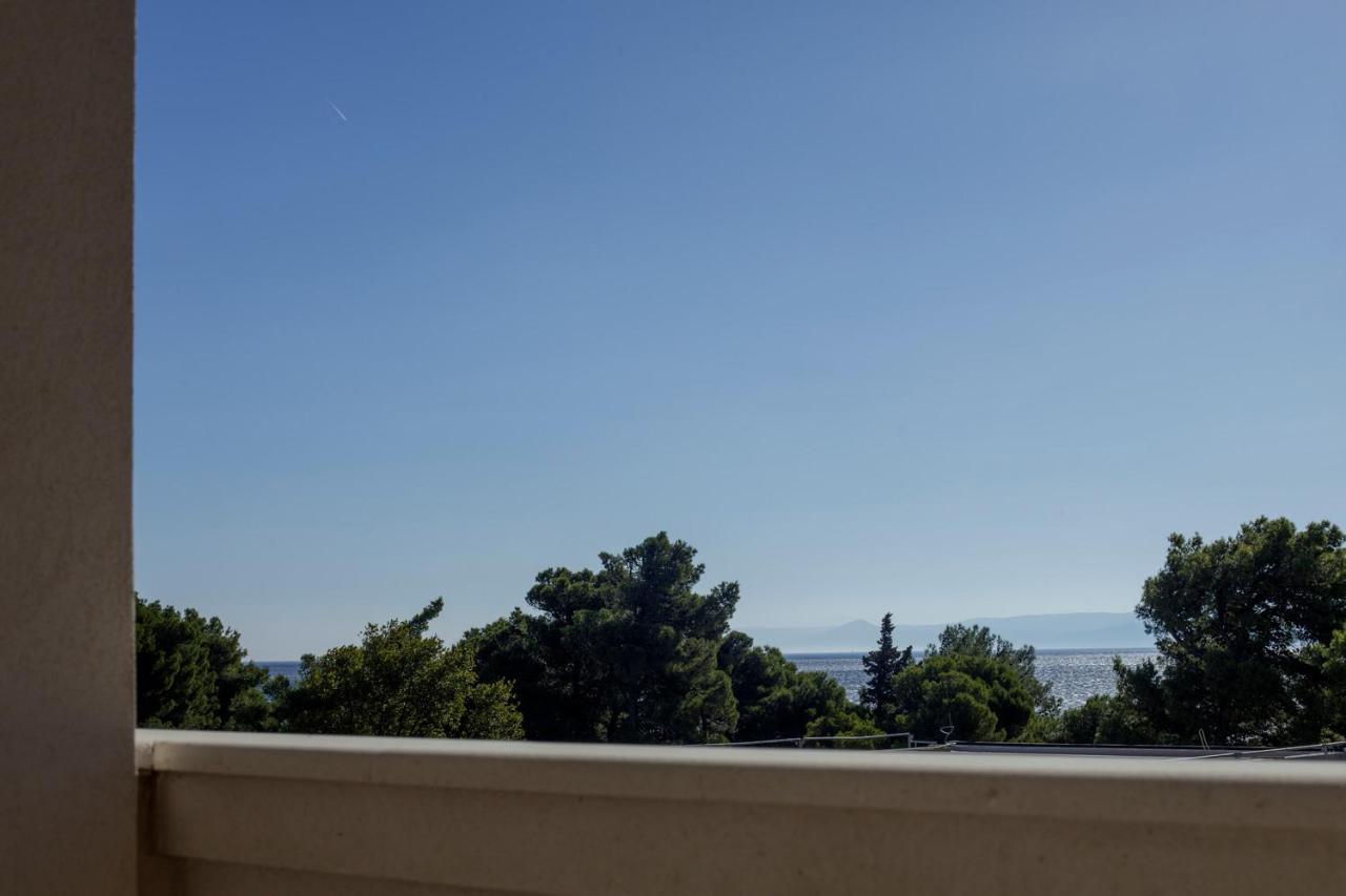Superior Studio Terrace Sea View
