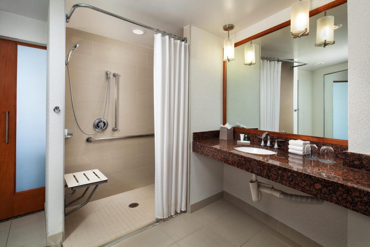 Kamer geschikt voor mensen met een lichamelijke beperking, Rolstoeltoegankelijke douche, Uitzicht op de stad