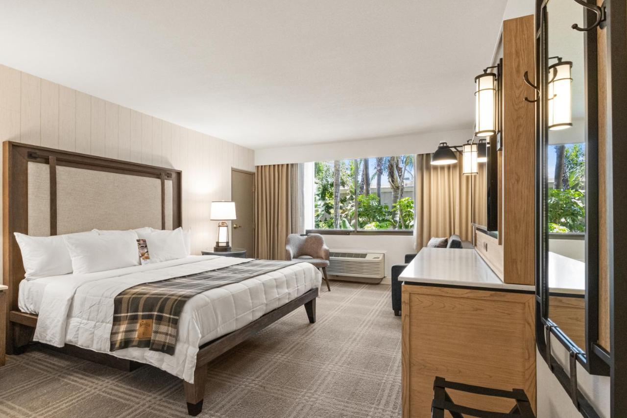 Habitación adaptada para personas con movilidad reducida - Cama extragrande