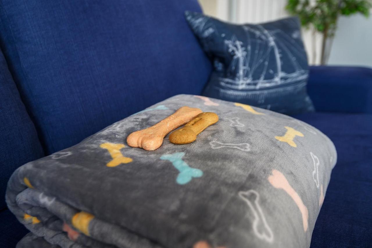 Superior Apartment Dog Friendly