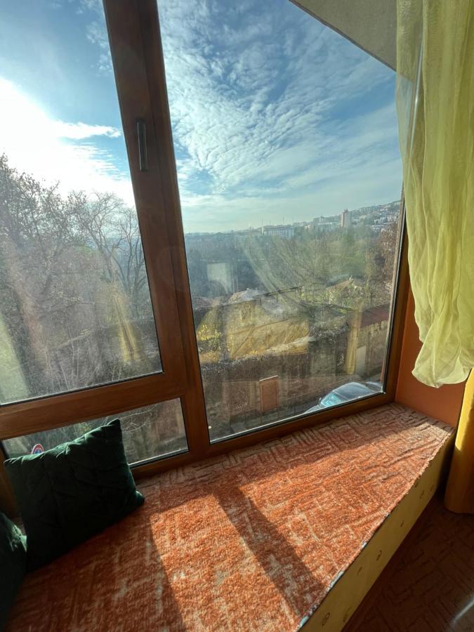 Double or Twin Room Mountain View