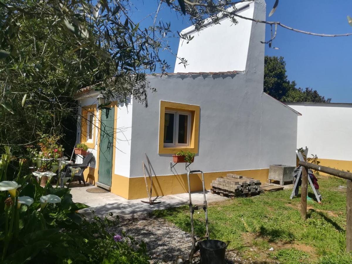 Estudio con vistas al jardín