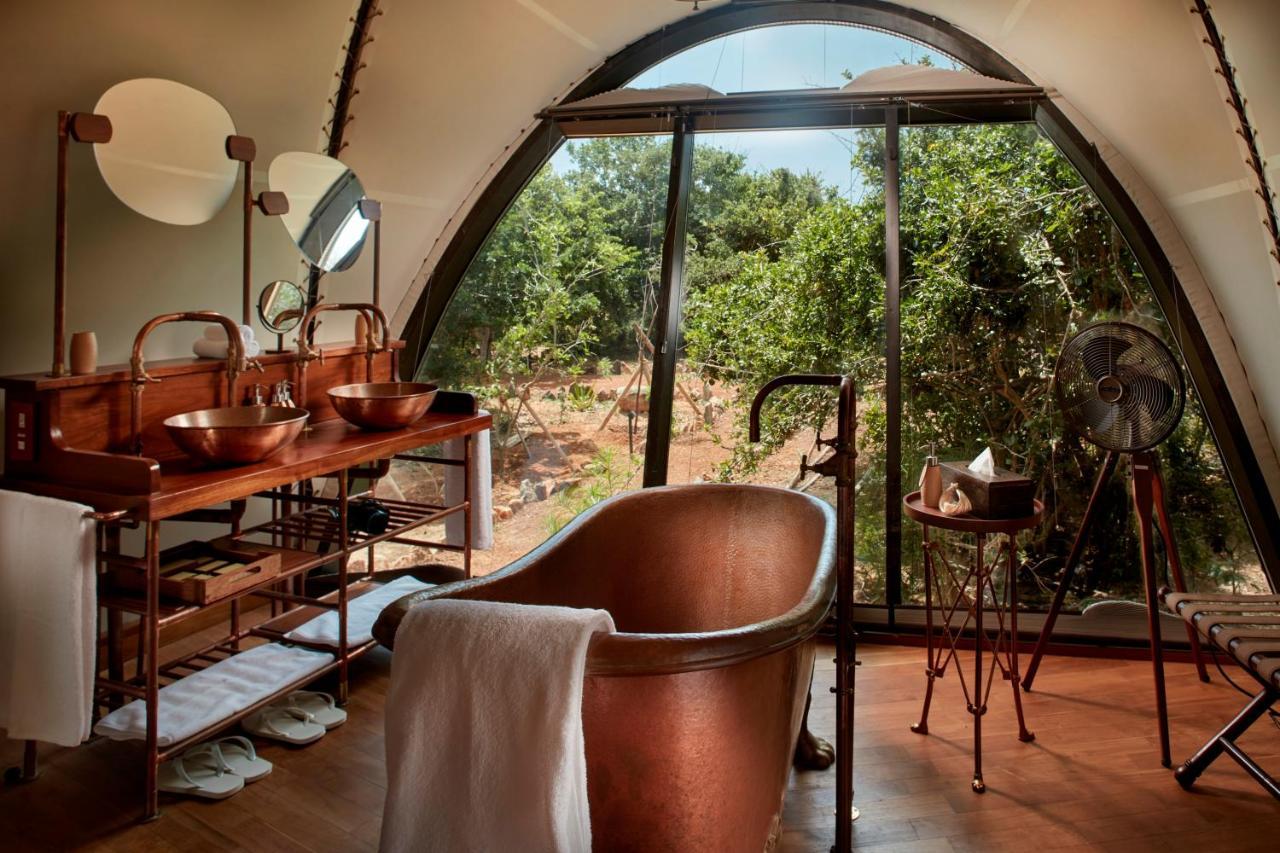 Familiensuite Cocoon mit einer kostenlosen Pirschfahrt
