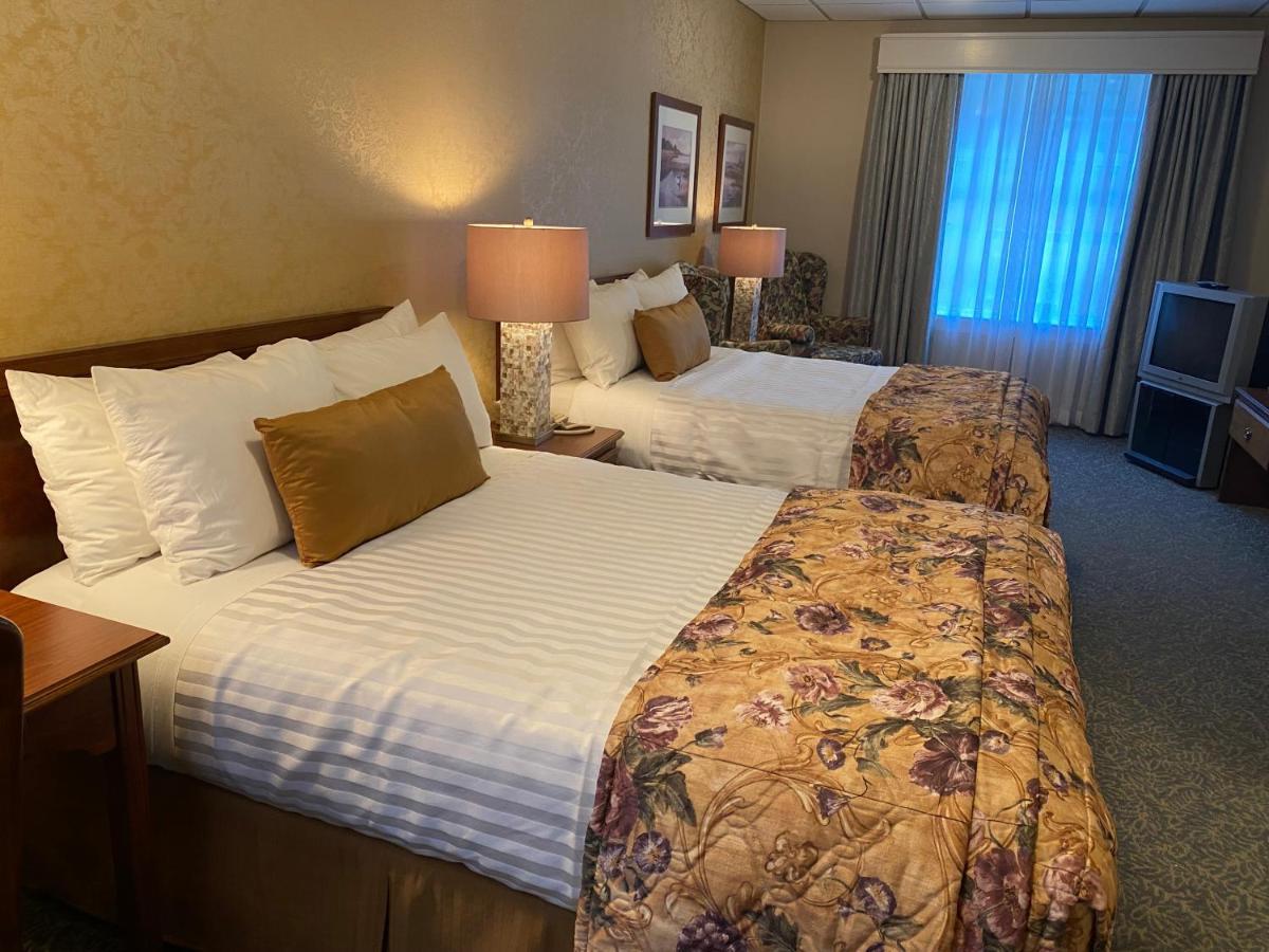 Double Room Two Double Beds