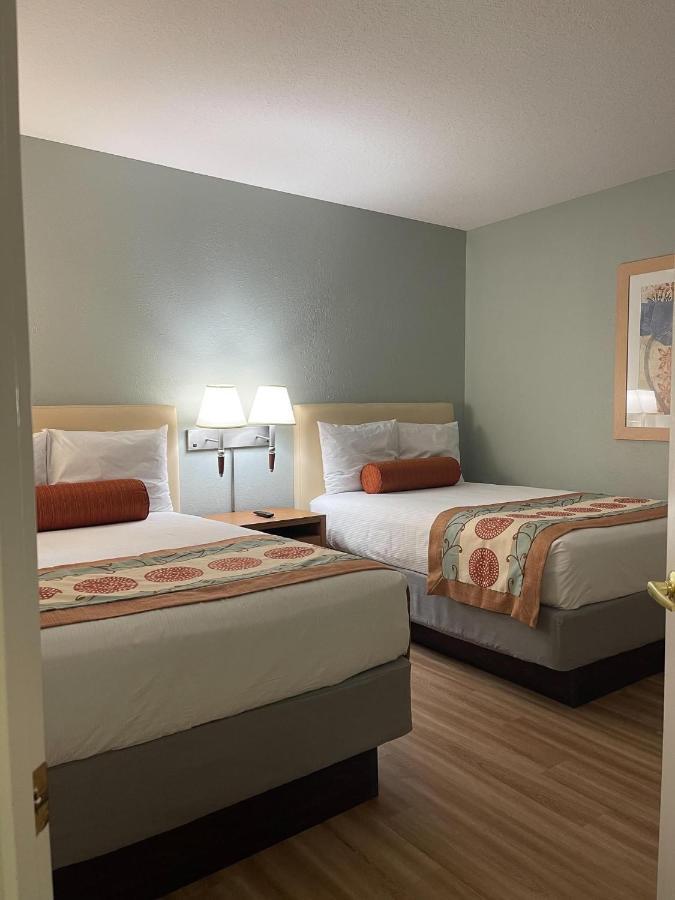 Suite Standard