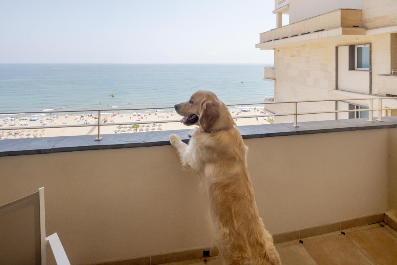 Room Sea View Pet Friendly