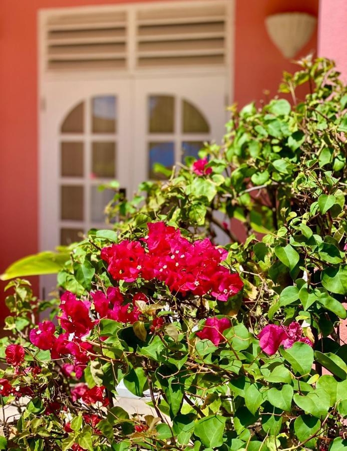 Studio mit Gartenblick