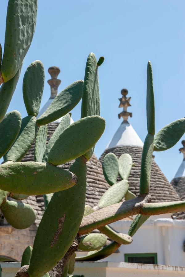 Trullo Studio