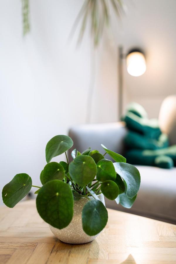 One-Bedroom Apartment accessible
