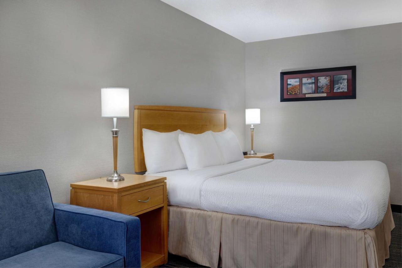 Chambre Lit King-Size de Luxe avec Jacuzzi - Non-Fumeurs