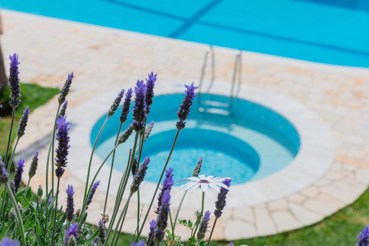 Standard Two-Bedroom Apartment Split Level Pool View