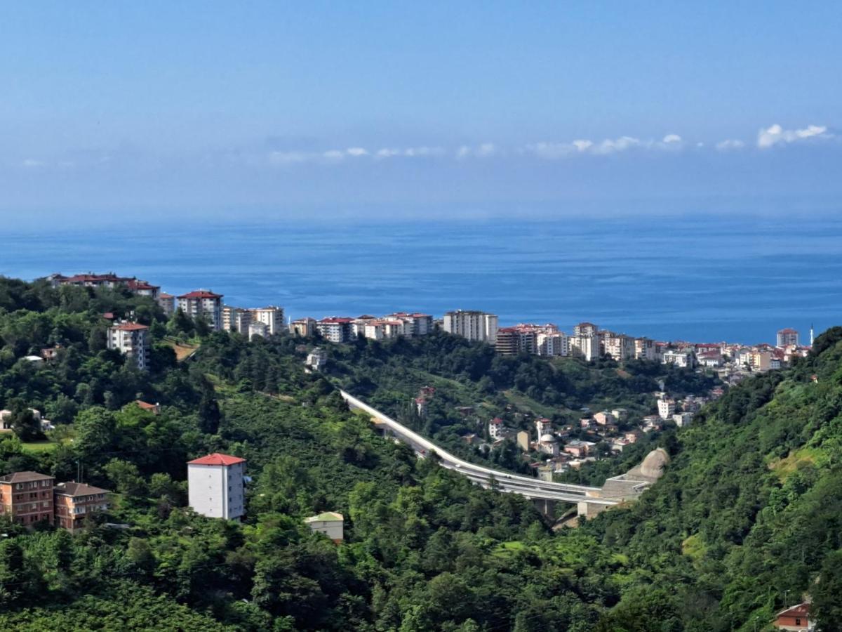 Suite Junior - Vue sur Mer