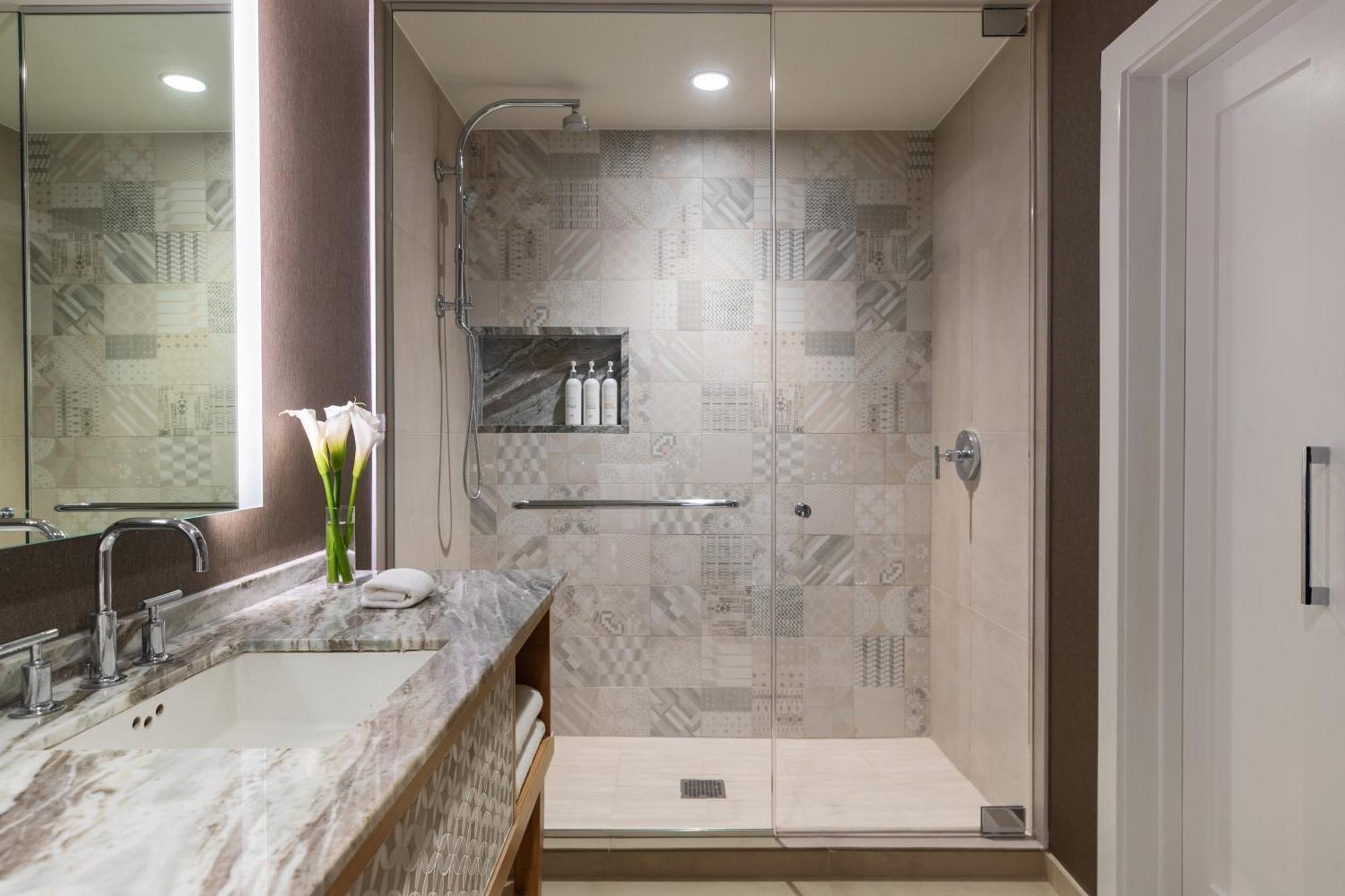 King Suite Mobility Accessible Roll Shower,1705777162:JPEG