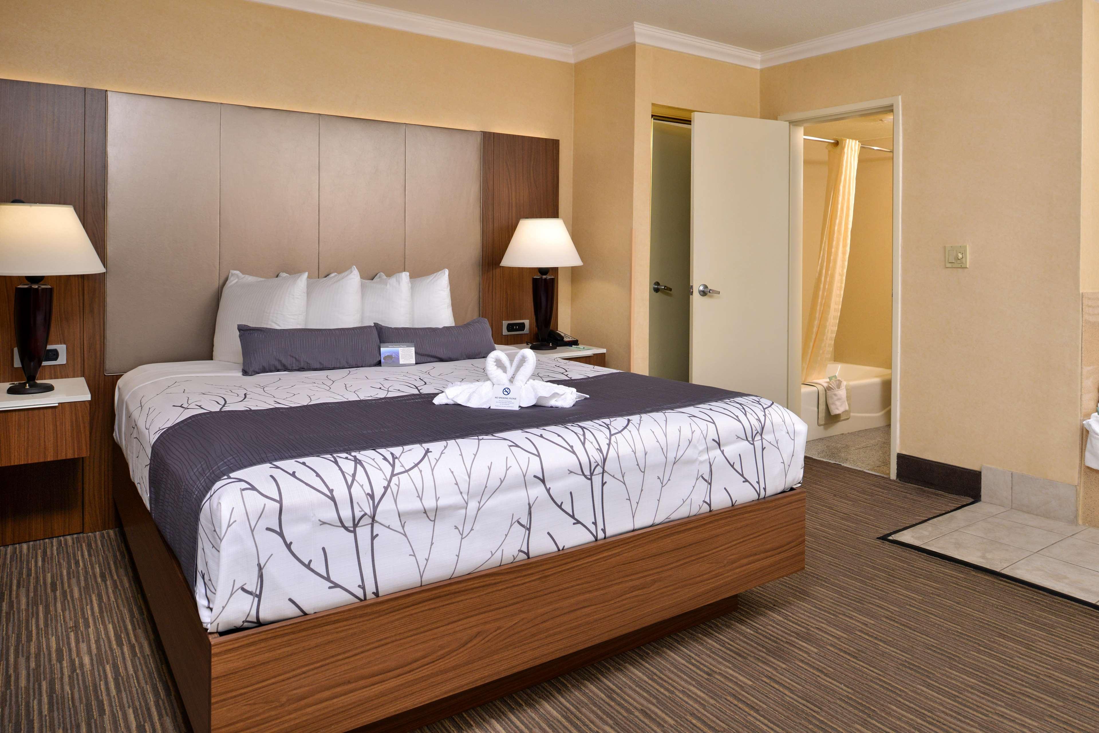 King Room Spa Bath Lower Level or Non-Smoking