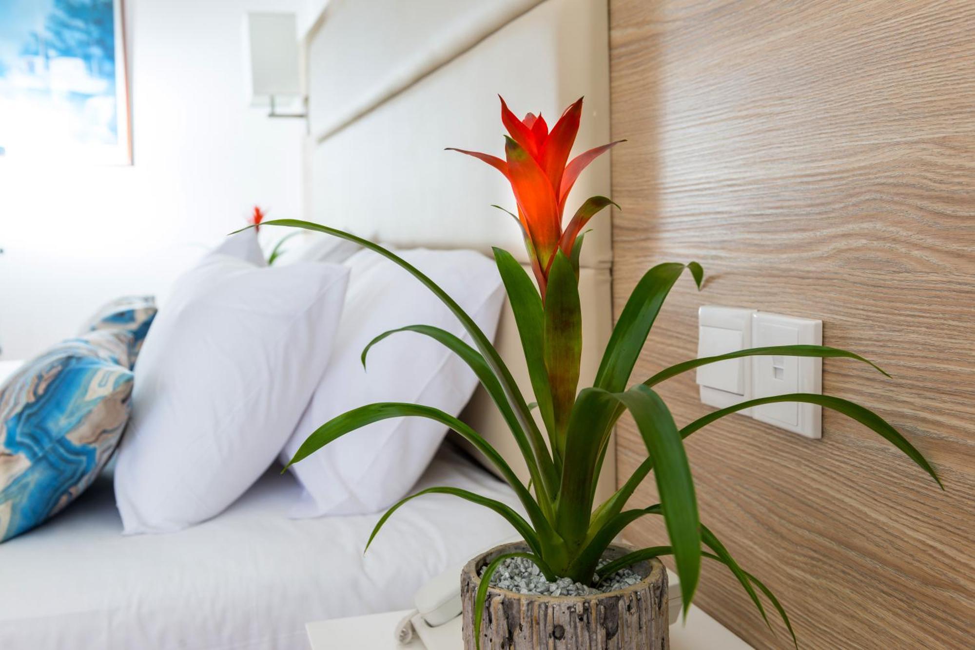 Double or Twin Room Inland View