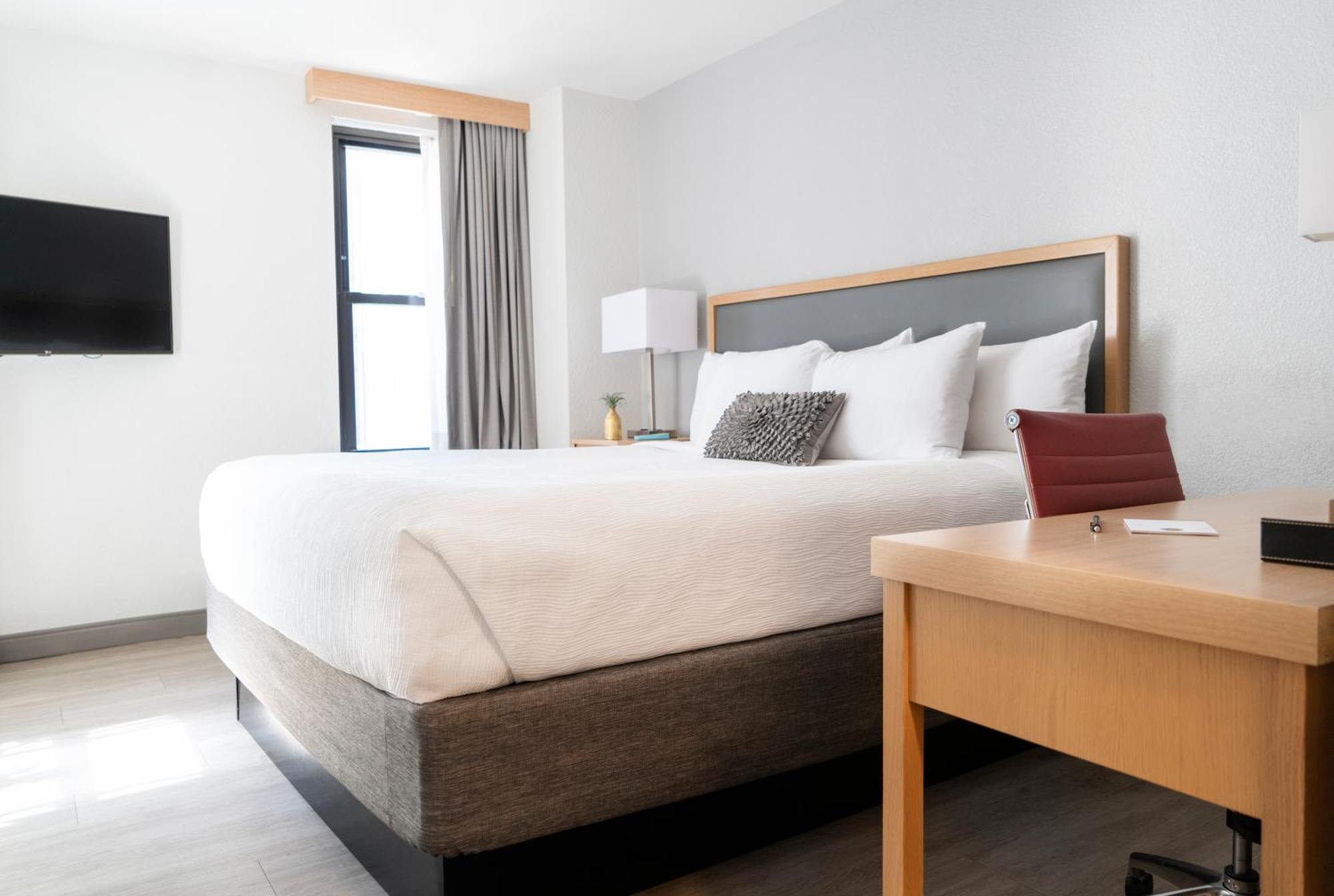 Standard King Room