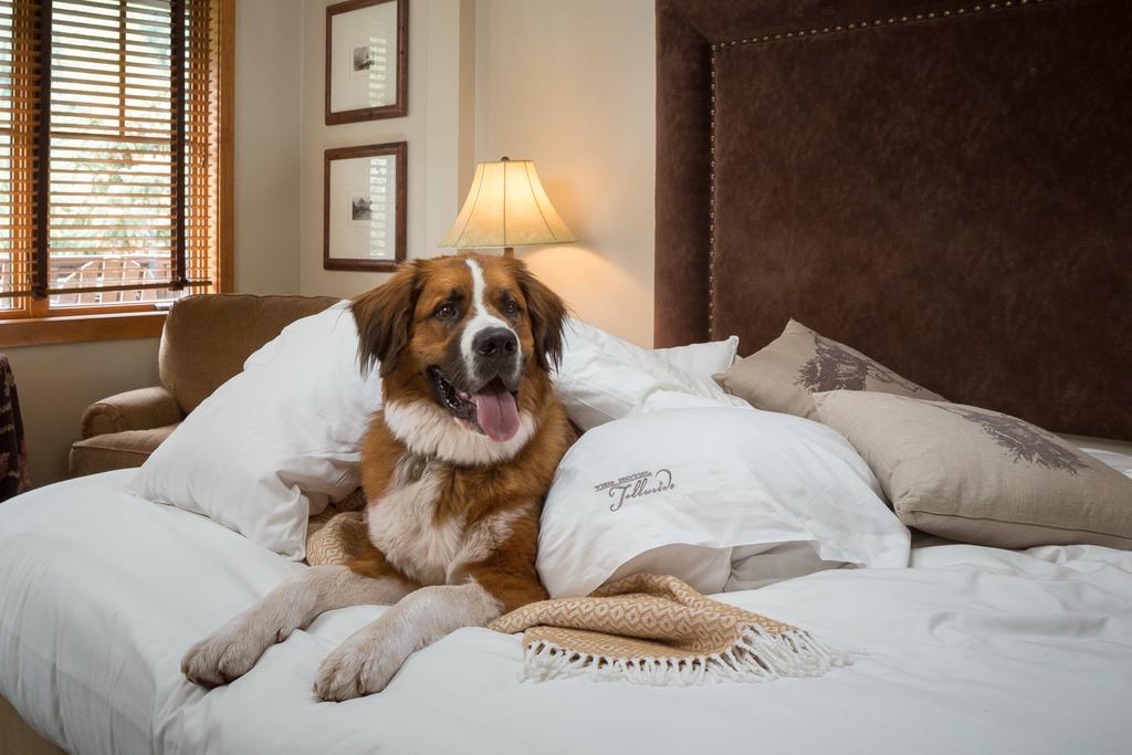 Chambre Lit King-Size Signature