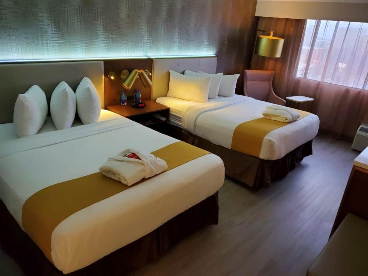 Gold Room Two Queen Beds