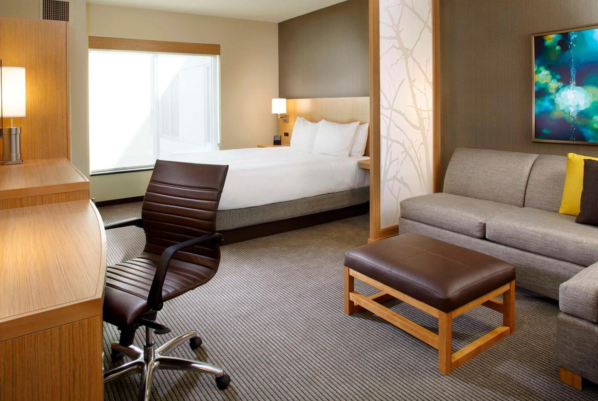 King Room Sofa Bed