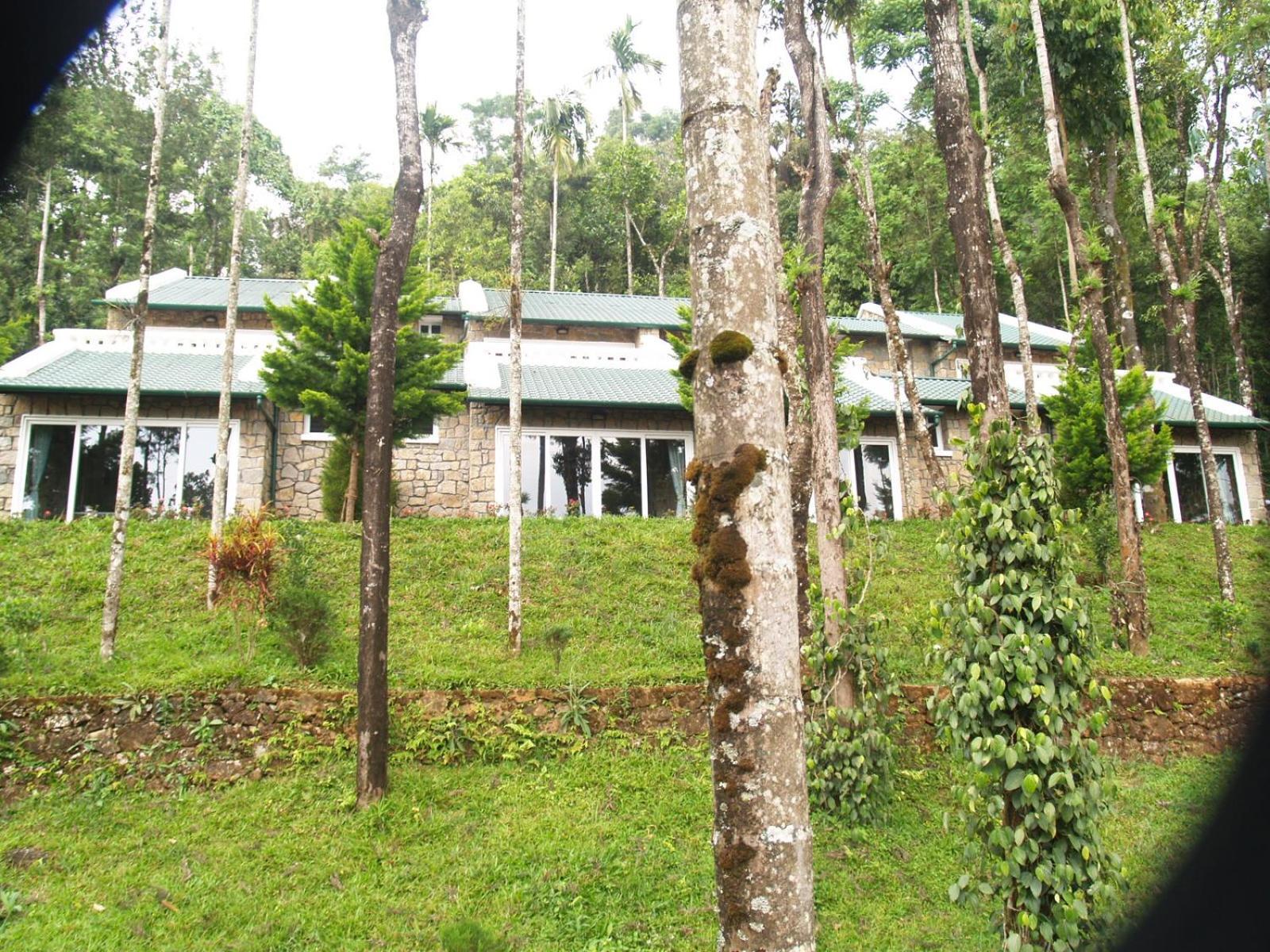 Ayurveda Healing, full board (4 nights min) at Luxury Room