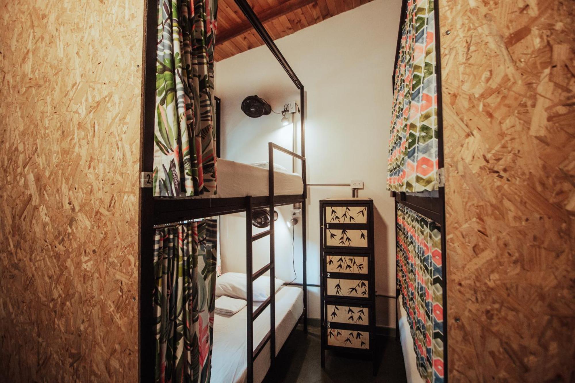 Bunk Bed Mixed Dormitory Room