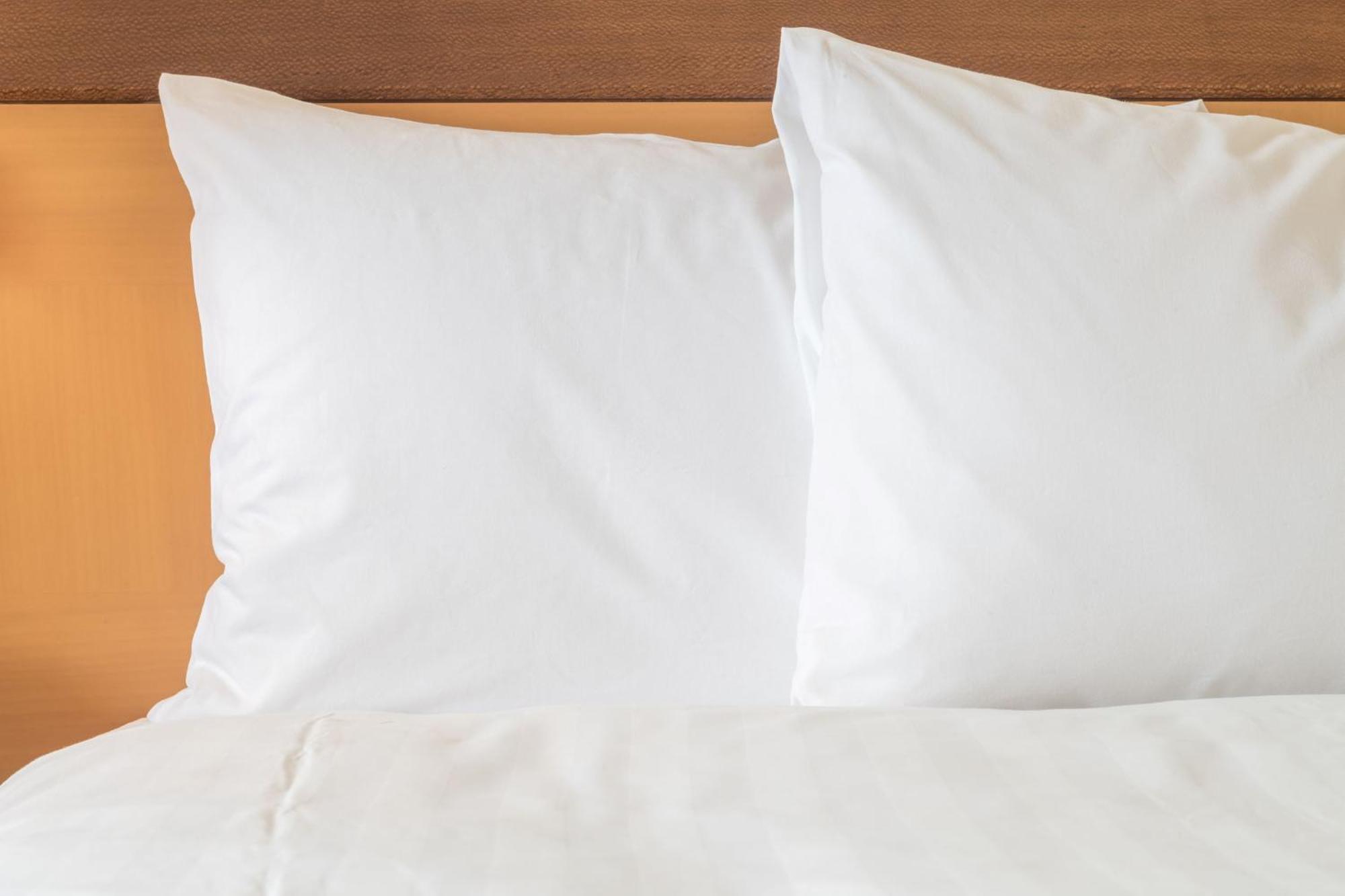 Room allocated on Arrival with Free Hot Breakfast