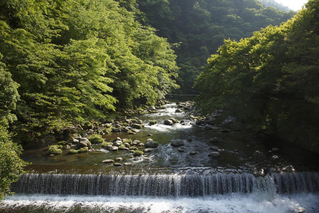 Habitación Cuádruple de estilo japonés con baño compartido y vistas al río