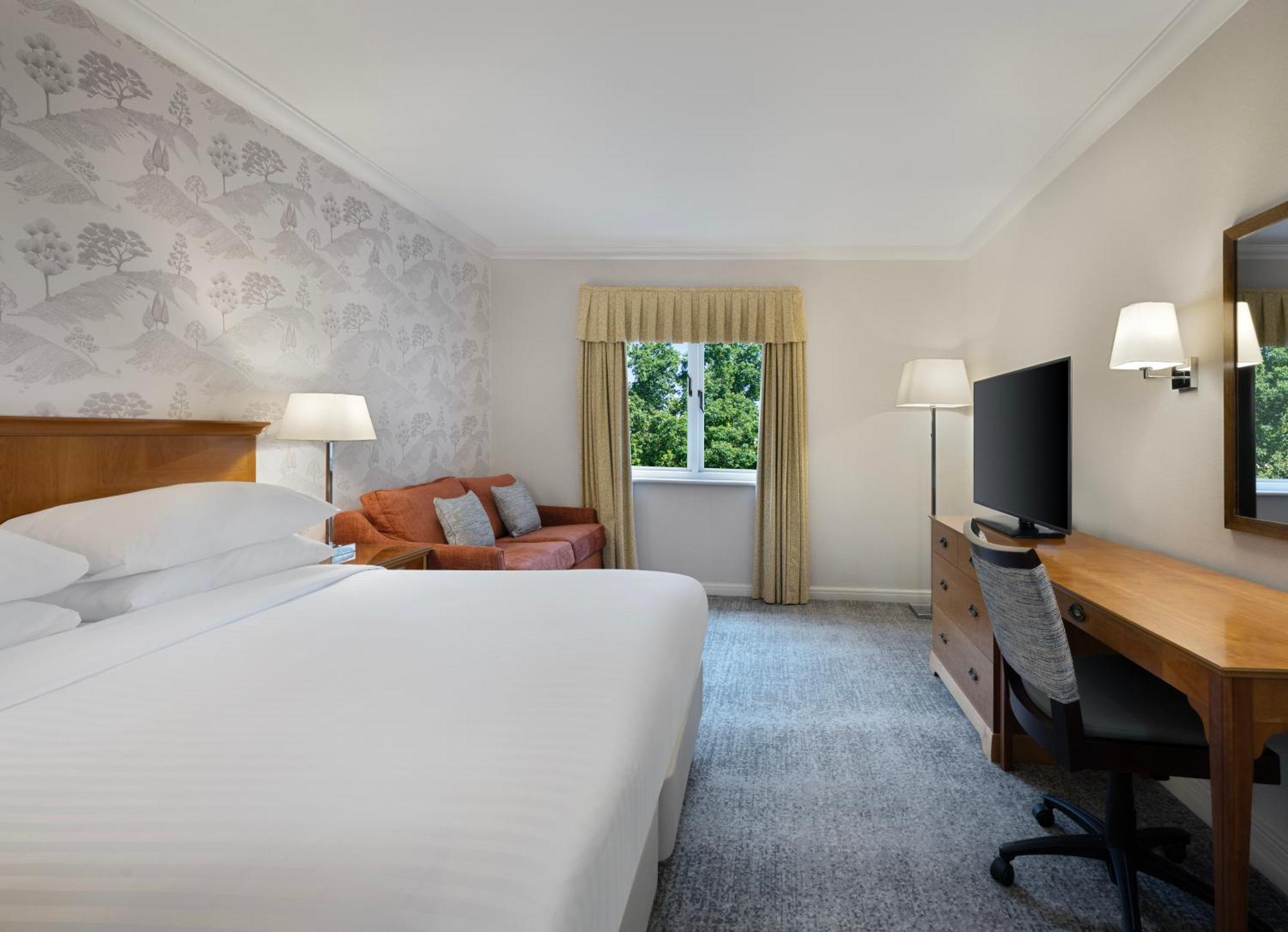 Deluxe King Room,1537073389:JPEG