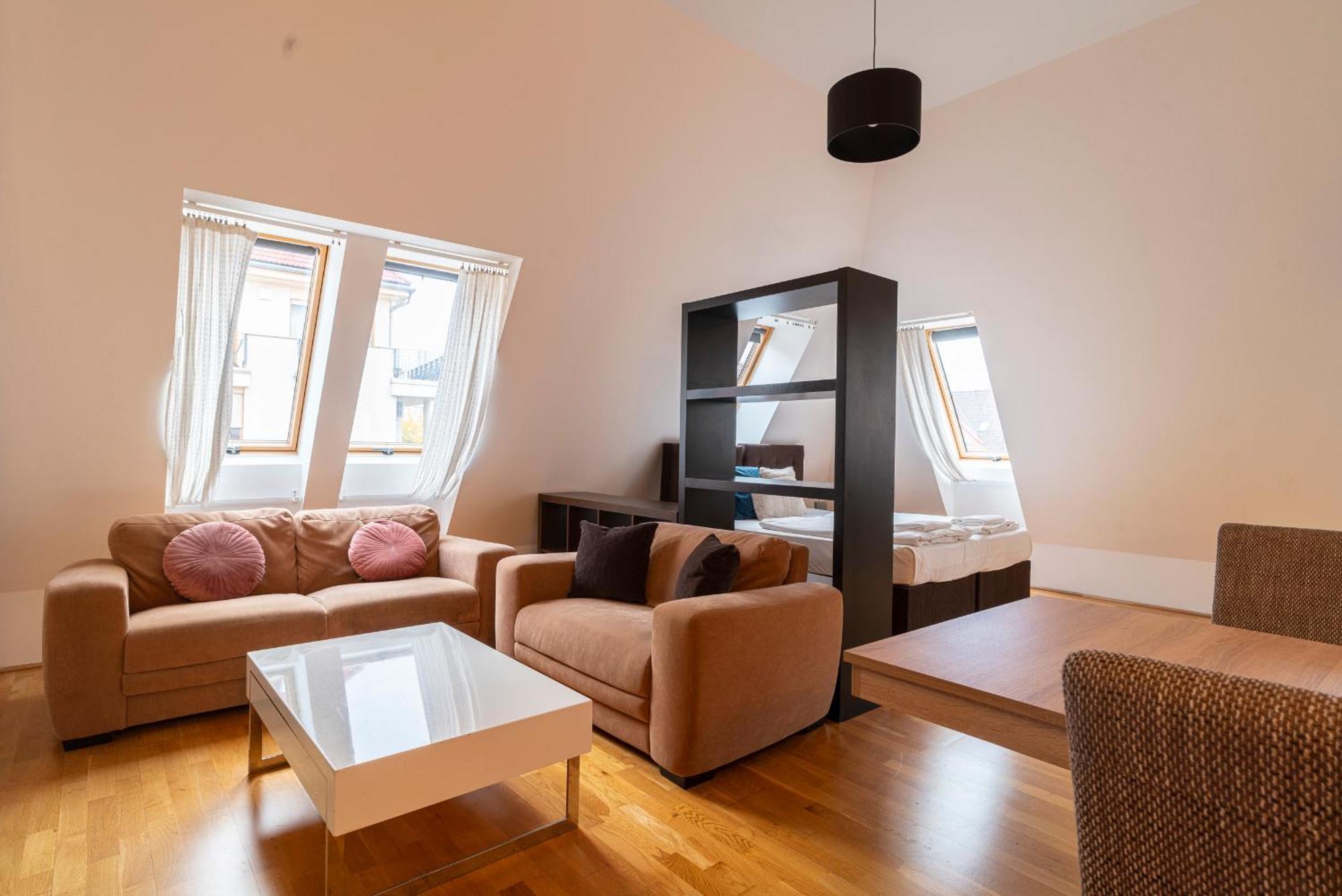 Deluxe One-Bedroom Apartment
