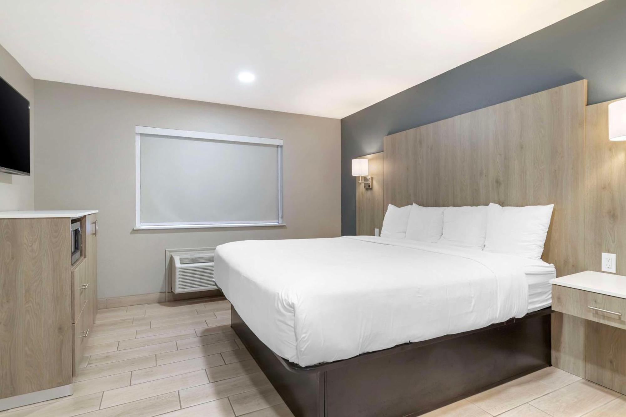 King Suite Sofa Bed Roll Shower Disability Access or Non-Smoking