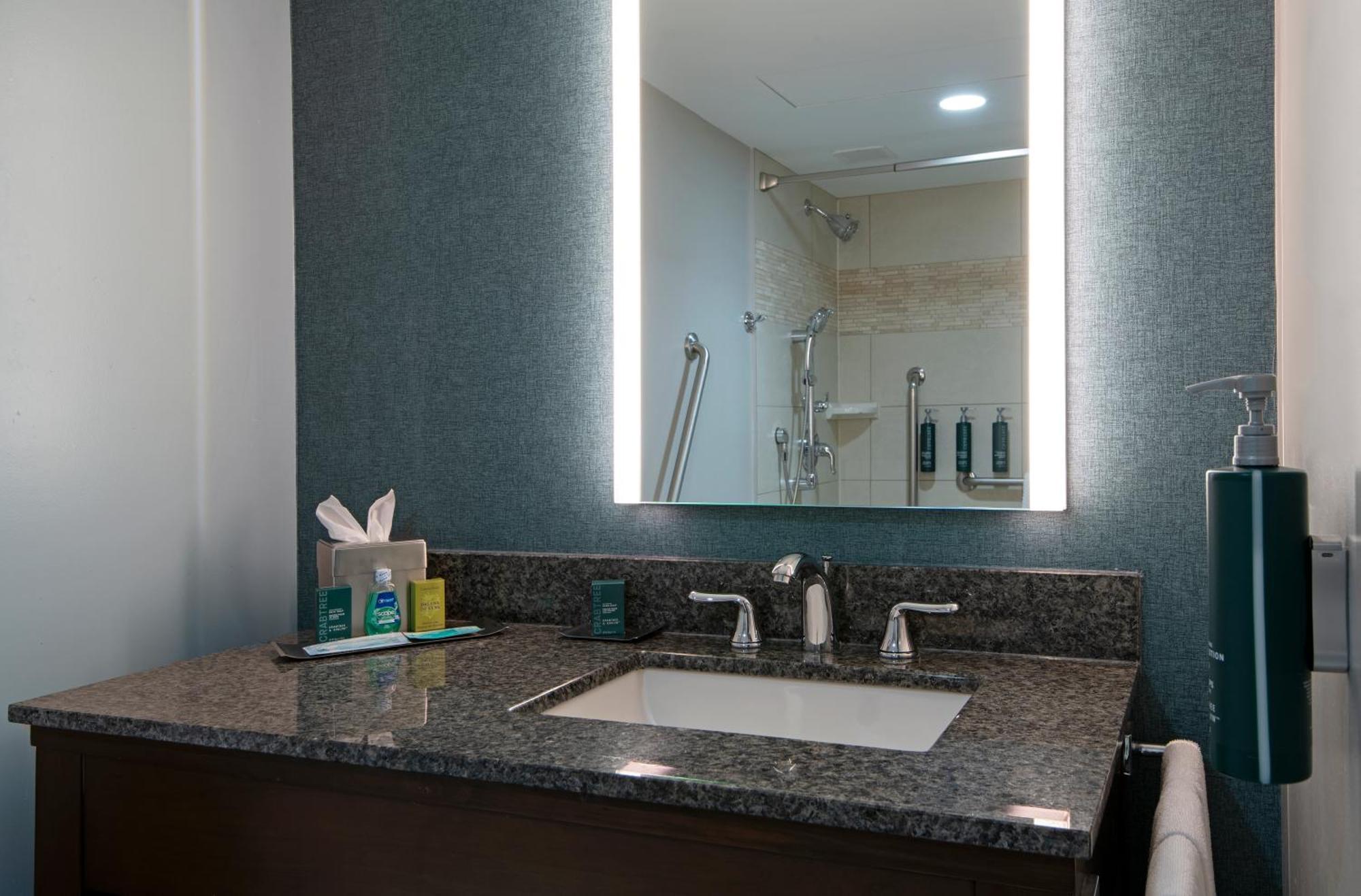 King Room Roll Shower Mobility Hearing Accessible or Non-Smoking