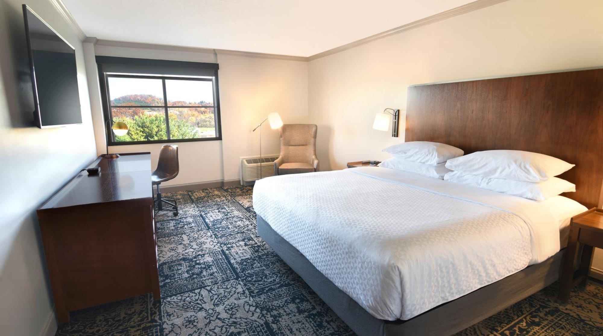 Junior Suite Deluxe con 1 Camera da Letto