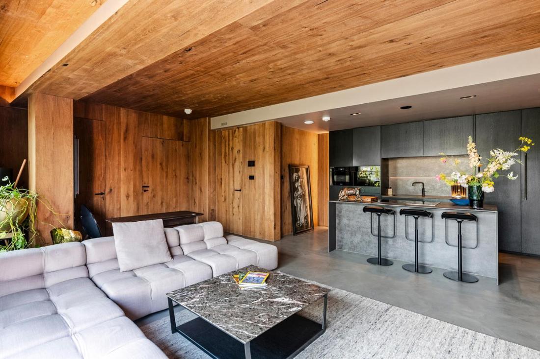 Penthouse Apartment