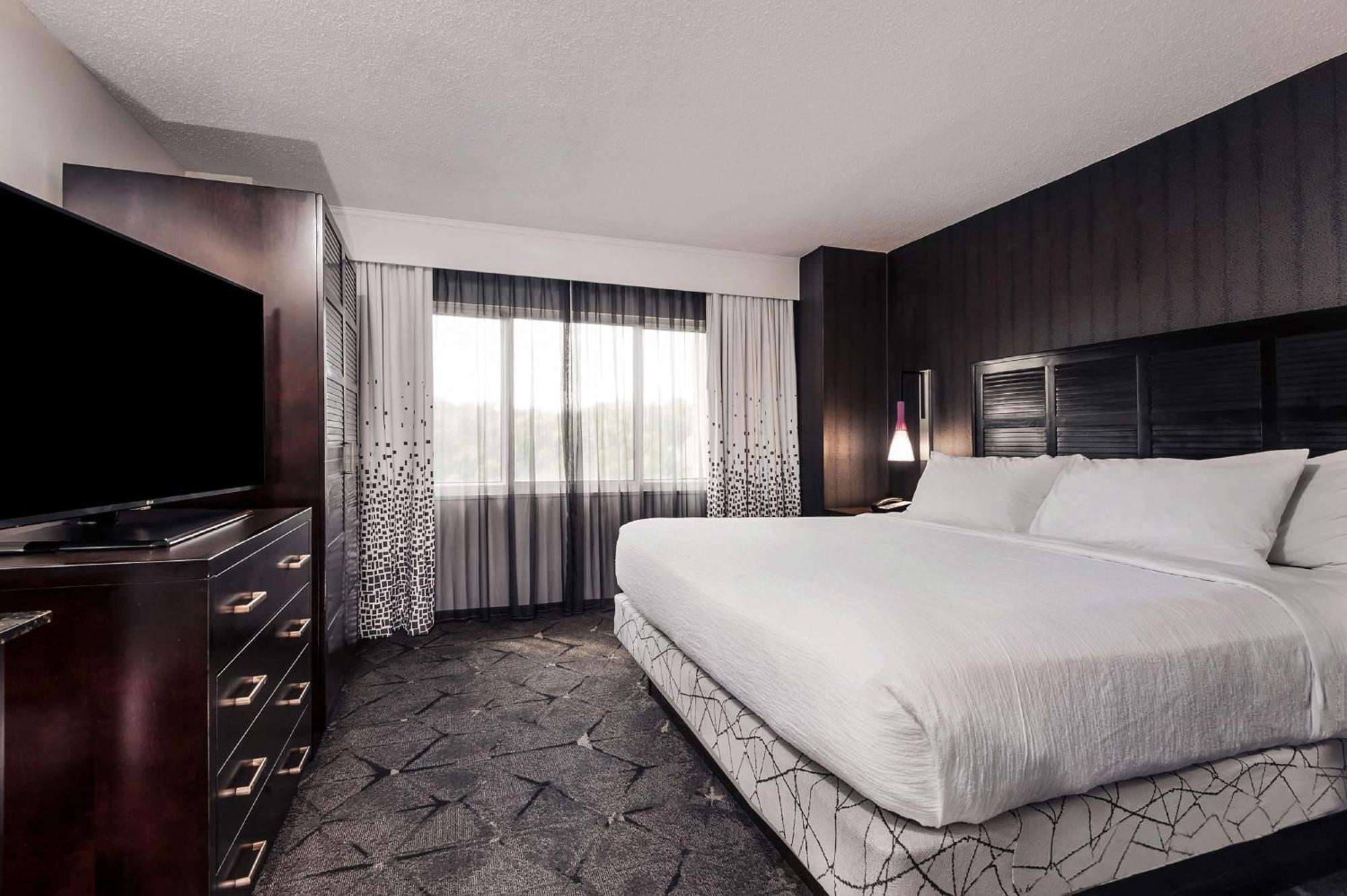 Suite King Bilocale