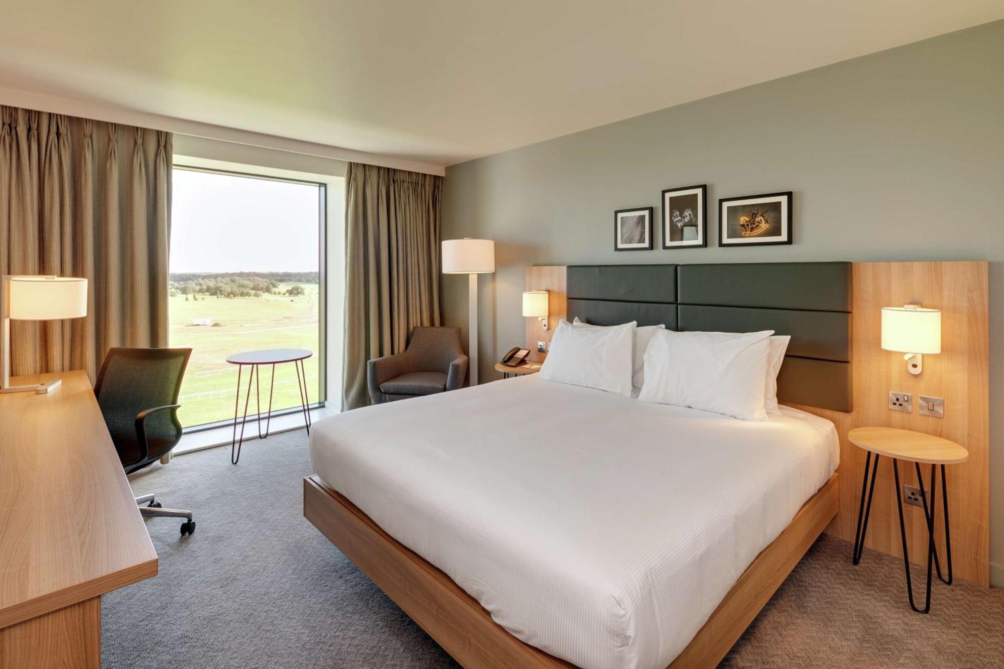 King Room View
